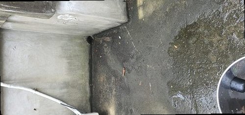 부여군 충화면 하수구막힘 배수구 주변의 물 고임과 이물질 상태를 확인하는 모습