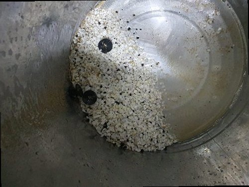 부여군 홍산면 하수구막힘 배수구 주변의 물 고임과 오염 상태를 확인하는 모습